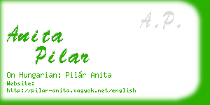 anita pilar business card